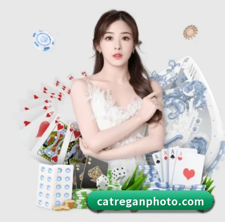 开云手机站登录入口 APP
